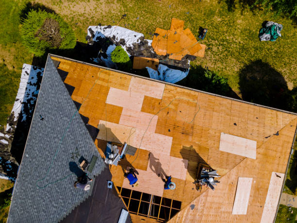 Roof Gutter Cleaning in Woodcreek, TX
