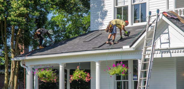 Best Roof Gutter Cleaning  in Woodcreek, TX
